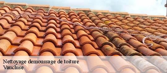 Nettoyage demoussage de toiture