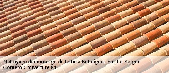 Nettoyage demoussage de toiture