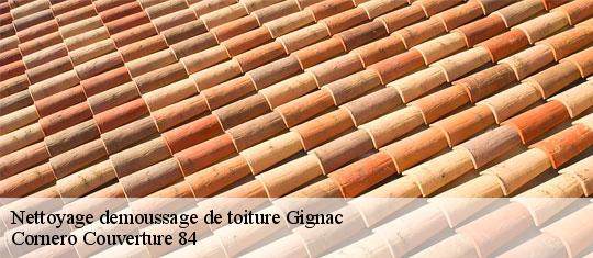 Nettoyage demoussage de toiture