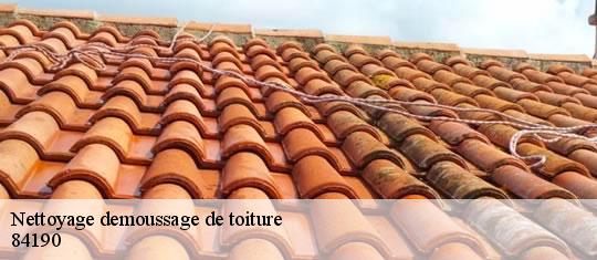 Nettoyage de toiture à La Roque Alric tél :04.90.84.27.97