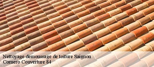 Nettoyage demoussage de toiture