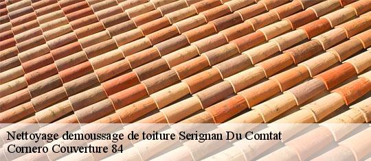 Nettoyage demoussage de toiture