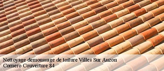 Nettoyage demoussage de toiture