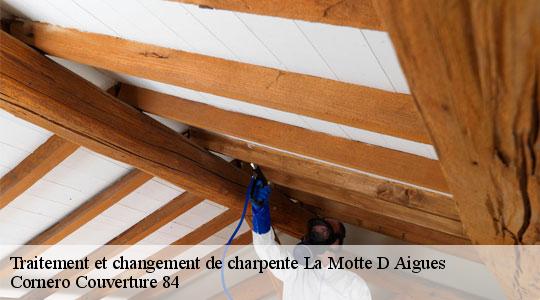 Traitement et changement de charpente