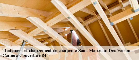 Traitement et changement de charpente