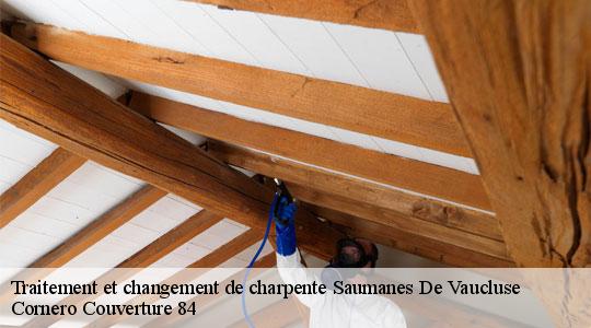 Traitement et changement de charpente