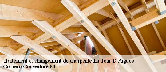 Traitement et changement de charpente