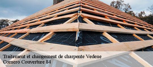 Traitement et changement de charpente