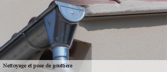 Nettoyage et pose de gouttière