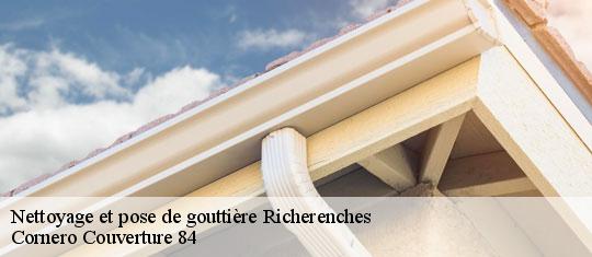 Nettoyage et pose de gouttière